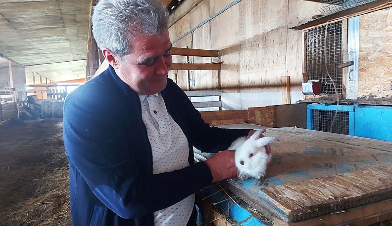 Идеи для людей