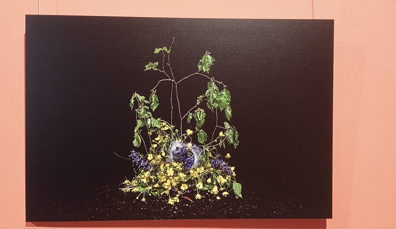 В Калужском музее изобразительных искусств открылась выставка «Молодые фотографы России»