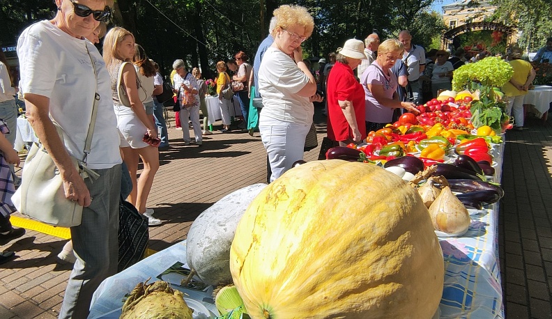 Огурец «Ухажор», «веерный» томат и арбуз в клеточку представили калужане на выставке урожайного сезона 
