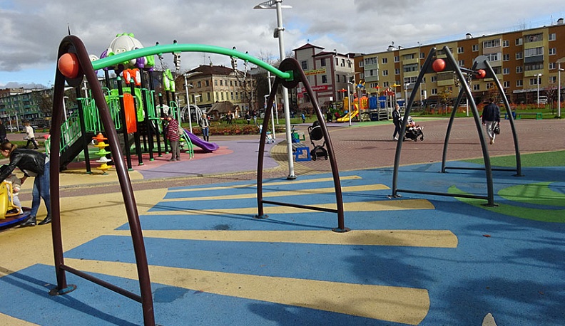 Городской голова дал поручение черепахе