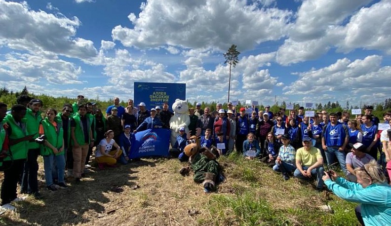 В Калужской области участники акции «Сад памяти» высадили более 140 тысяч деревьев