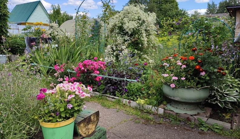 Рукам работа – сердцу радость