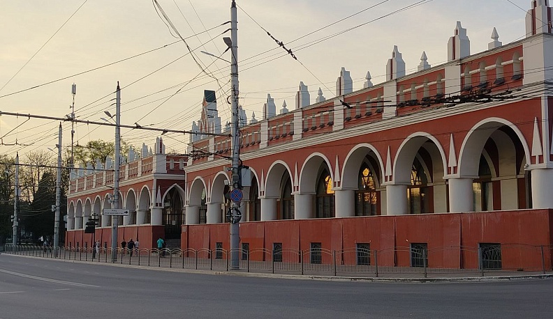 В Калужской области высадили более 260 тысяч деревьев
