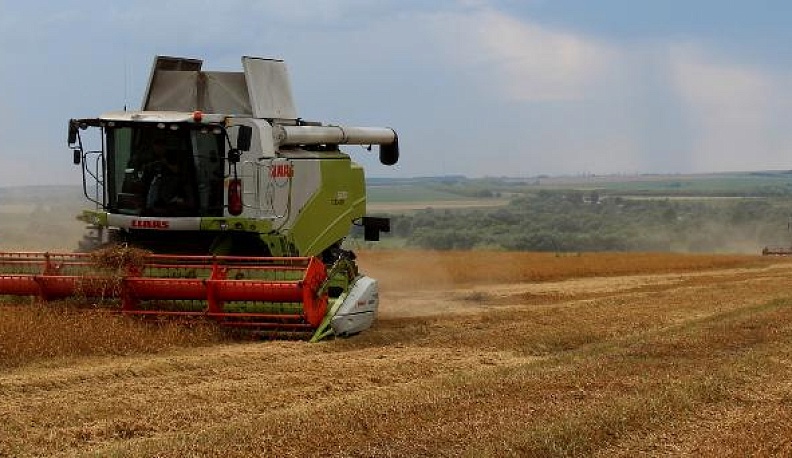 Стартовала уборка яровых зерновых