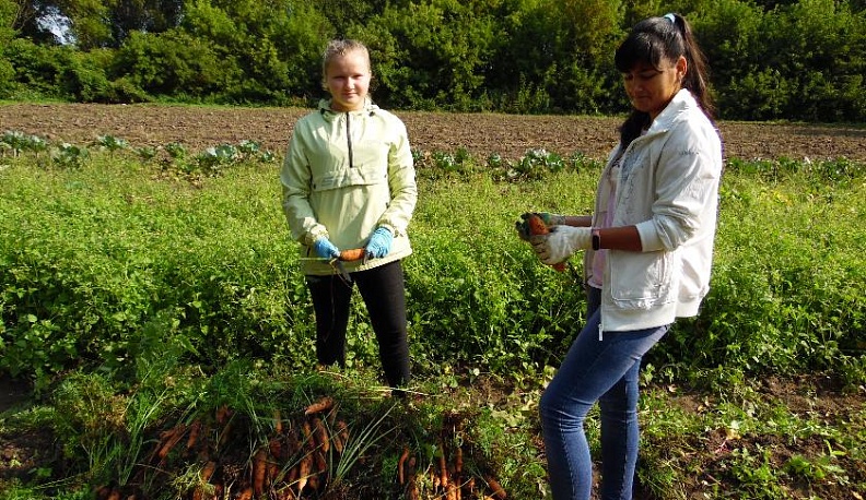 ВКУСНОЕ, НАТУРАЛЬНОЕ – СВОЁ!