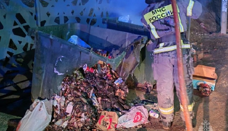 Ночью в Калужской области загорелись мусорные баки