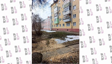 После жалобы жителя в Калуге убрали дерево