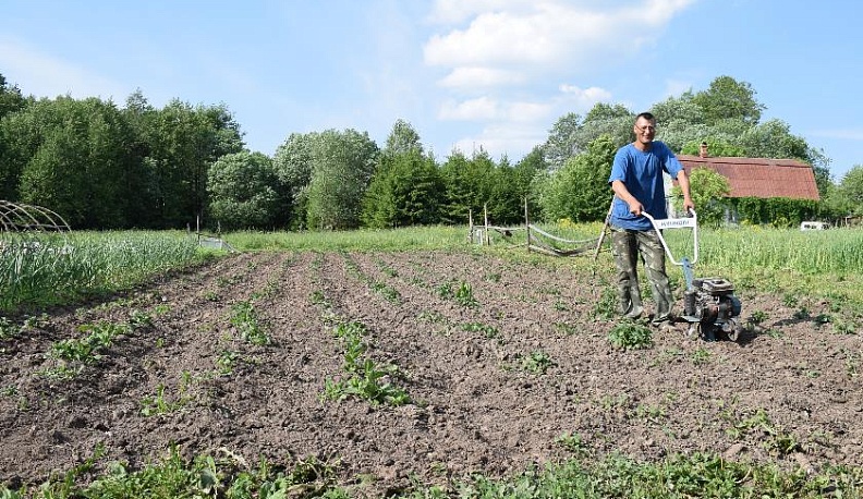 Деревня Шаповаловых
