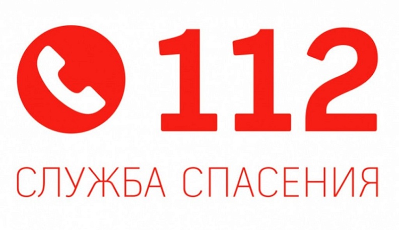 За год на телефон 112 позвонили более 700 тысяч раз