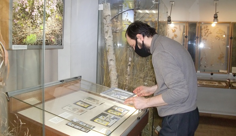 Выставку, посвященную птицам, показывают в усадьбе Золотарёвых в Калуге