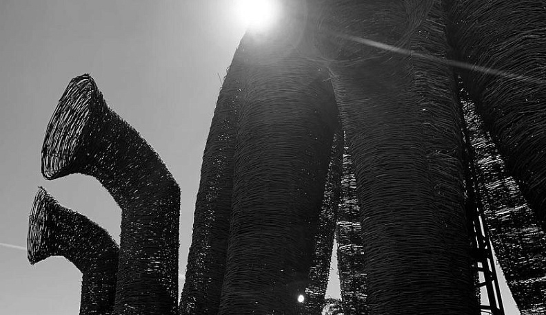 Даррен Аронофски впечатлен Николо-Ленивцем