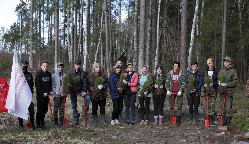 Зелёные высоты