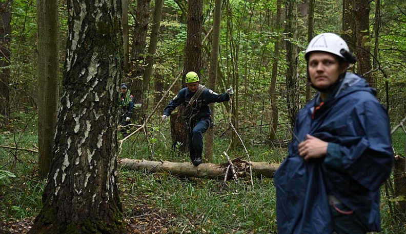 Под Калугой ищут условно заблудившихся в лесу