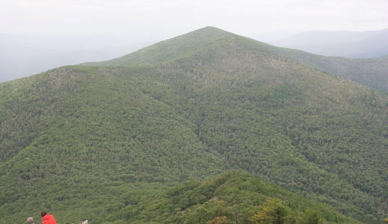 На Лысой горе