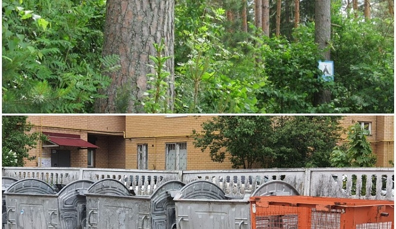 Владислав Шапша поручил калужским коммунальщикам чаще вывозить мусор 