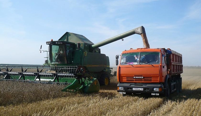 В Калужской области намолотили более 83 тысяч тонн зерна 