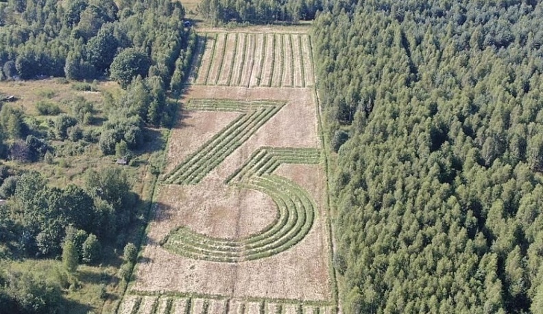 Более 280 тысяч деревьев высадили в Калужской области в рамках акции «Сад памяти»