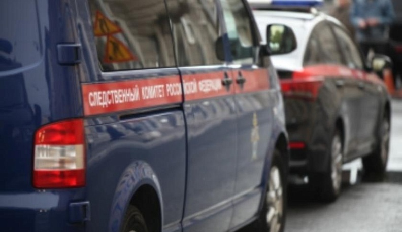 Следственный комитет завершил расследование убийства Яны Болтынюк