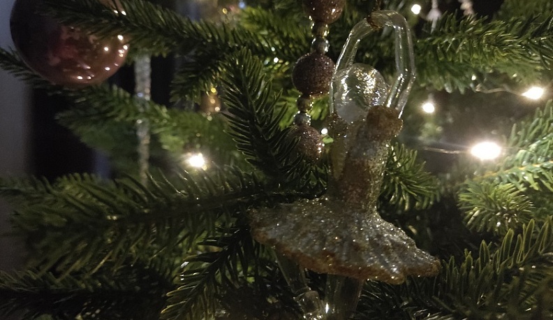 К концу новогодних праздников в Калуге может похолодать до -21°