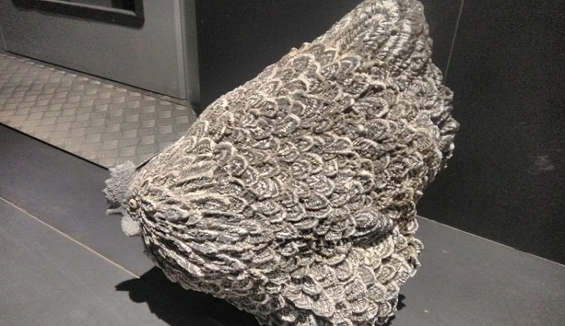 Инновационный культурный центр в Калуге оккупировали куры и другие животные