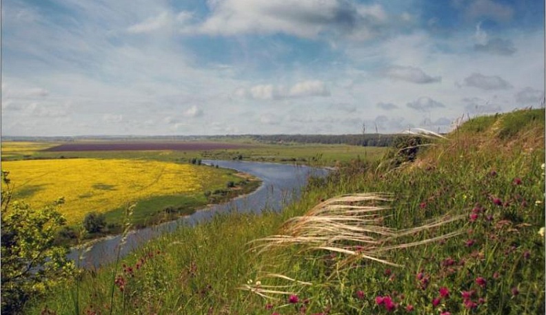 В Калужской области пройдет "Экофест 2020"
