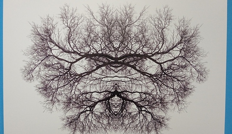 В Калужском музее изобразительных искусств открылась выставка «Молодые фотографы России»