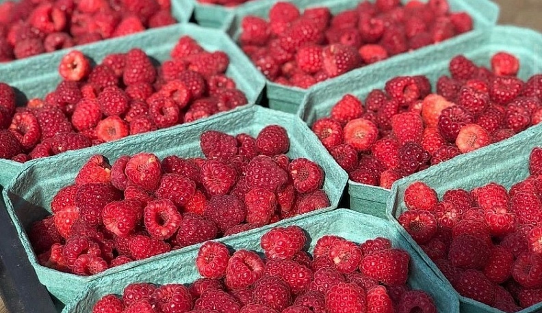 В Калужской области семейная ферма расширила производство благодаря господдержке