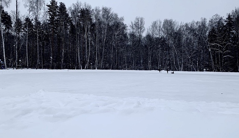 В деревне Леоново из-за несчастного случая при игре со снегом погиб ребенок
