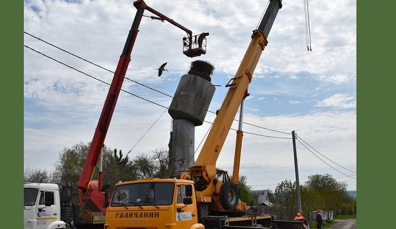 В Калужской области специалисты водоканала спасли дом аистов