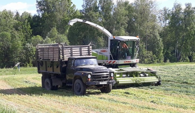 Бизнес-идея для деревни