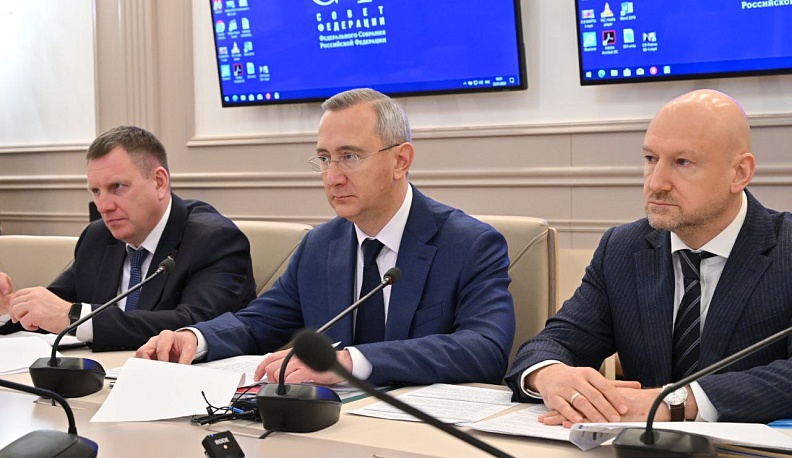 В Совете Федерации состоялась рабочая встреча Владислава Шапши с сенатором Анатолием Артамоновым