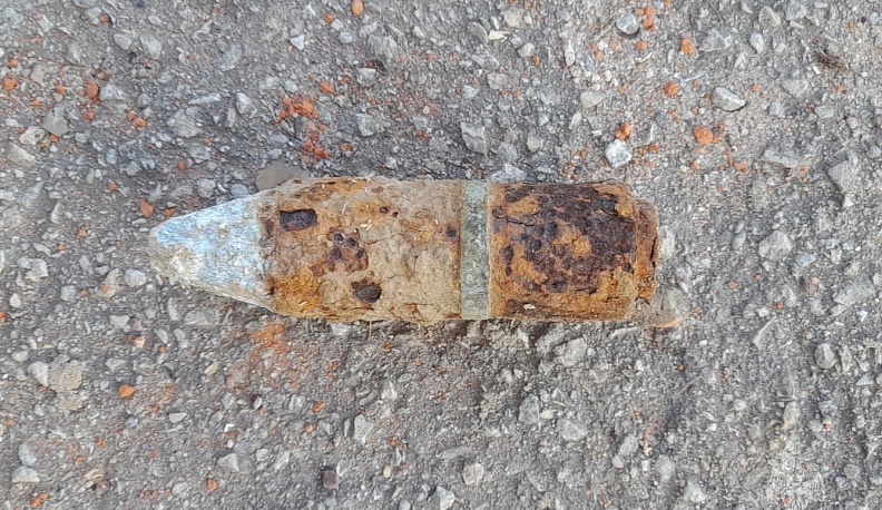 В одном из лесов Калужской области нашли боеприпас времен Великой Отечественной войны