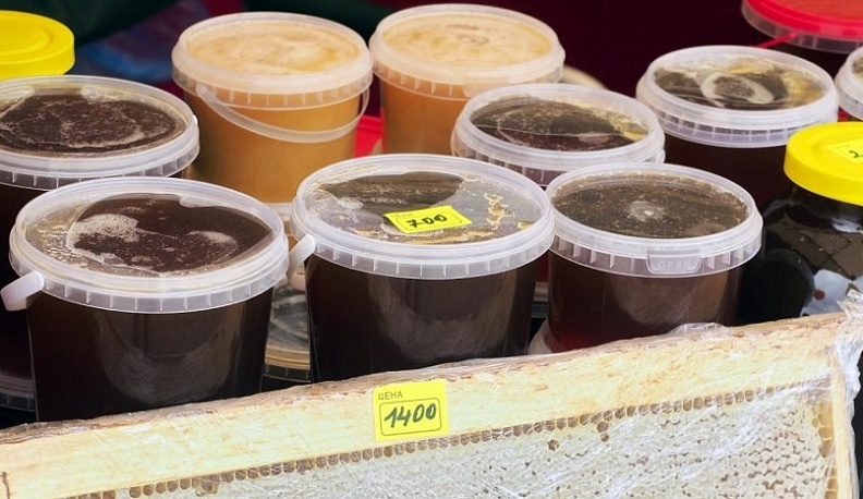 Жителям Калужской области предложили поучаствовать в создании музея пчелы в Медыни