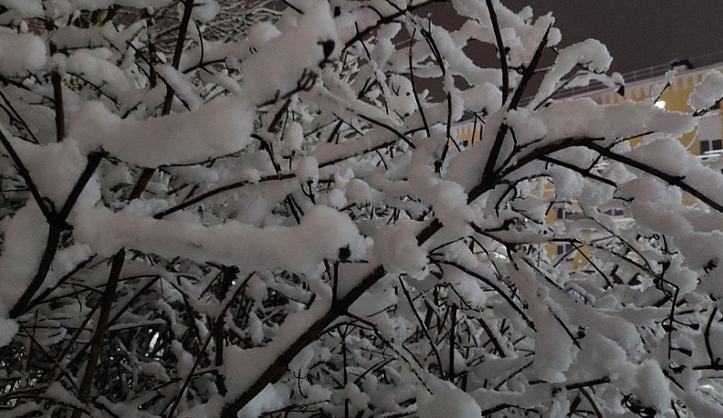 Сильный снег и гололёд ожидают в Калужской области