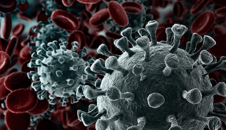 Самое основное, что надо знать о COVID 19