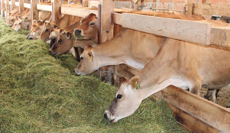 Геннадий Скляр побывал на животноводческих комплексах Ферзиковского района