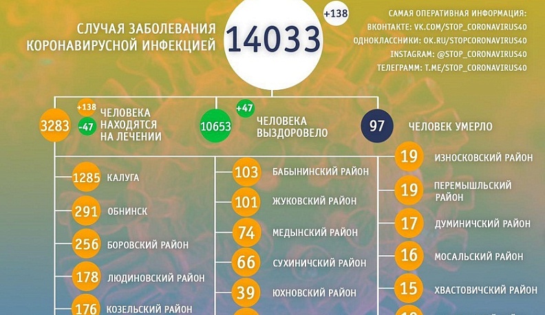 В Калужской области насчитывается 14033 подтвержденных случая коронавируса