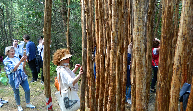 Искусство в природе