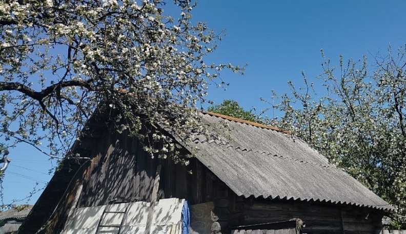 В Калуге ищут собственников земельных участков под временными объектами