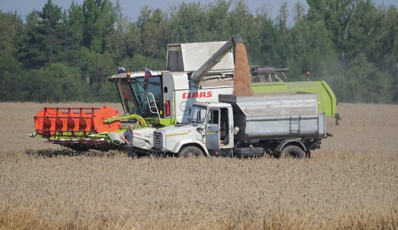 Аграрии накормили регион