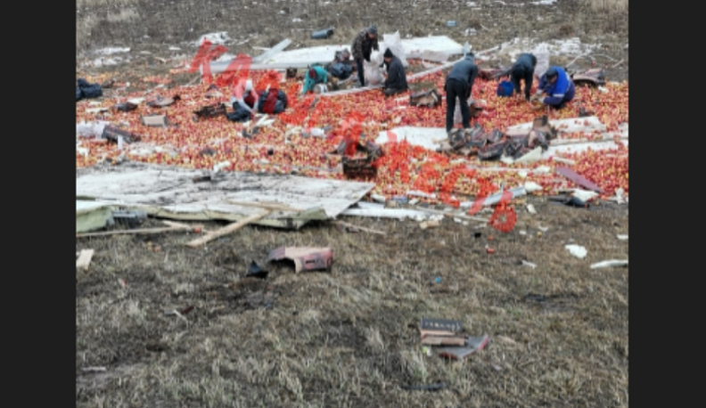 В Бабынинском районе перевернулась фура с яблоками