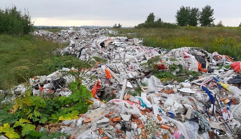 За год в Калужской области ликвидированы 383 несанкционированные свалки