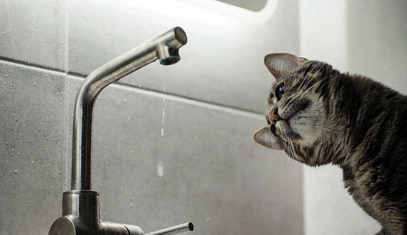 В понедельник в Калуге отключат воду на трех улицах и в трех пригородах