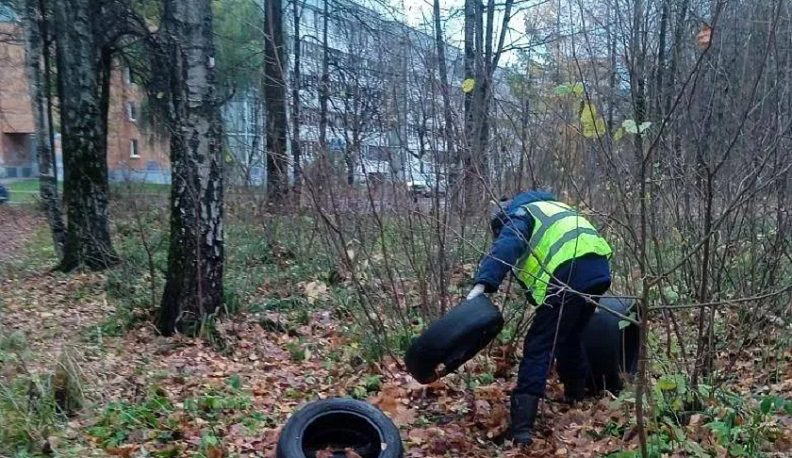 В Обнинске после жалобы жителей навели порядок в лесополосе