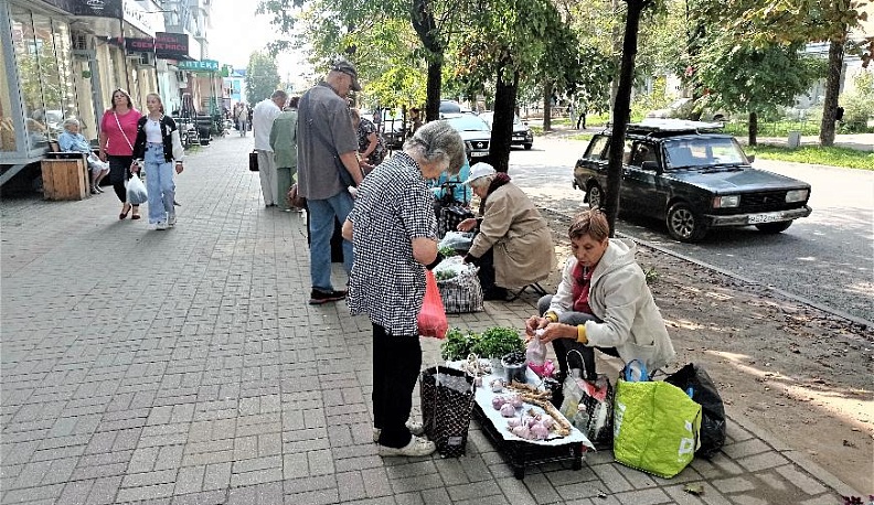 Дачник торгует с земли