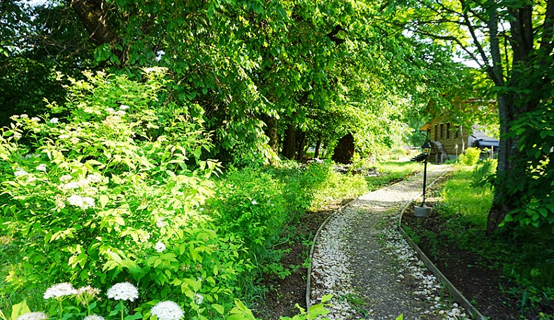 «Деревенька моя»