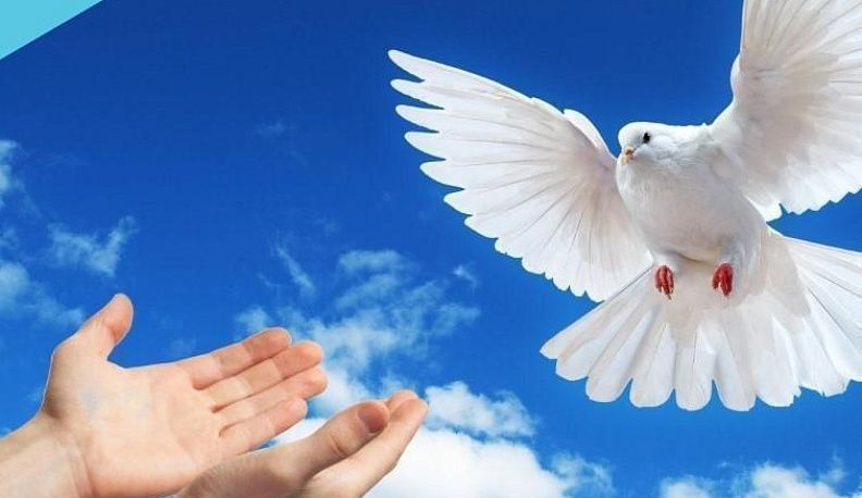 Сотрудники спортивной школы «Олимп» поддержали решение президента о проведении спецоперации 