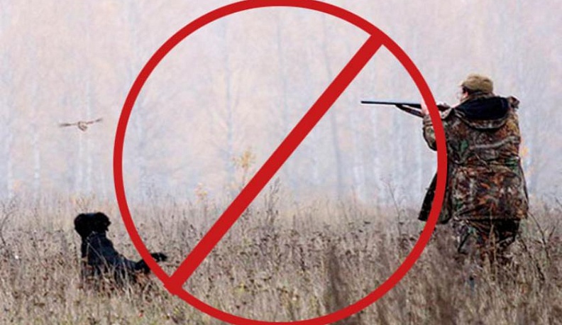 В Калужской области запрещена весенняя охота