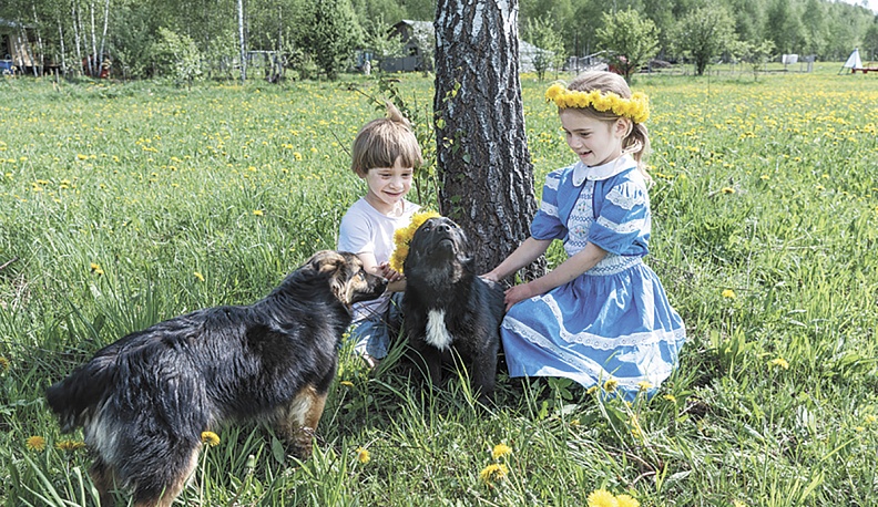 Нормальнодетная семья