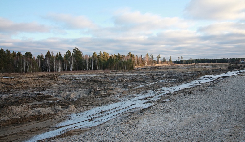 Большие перемены